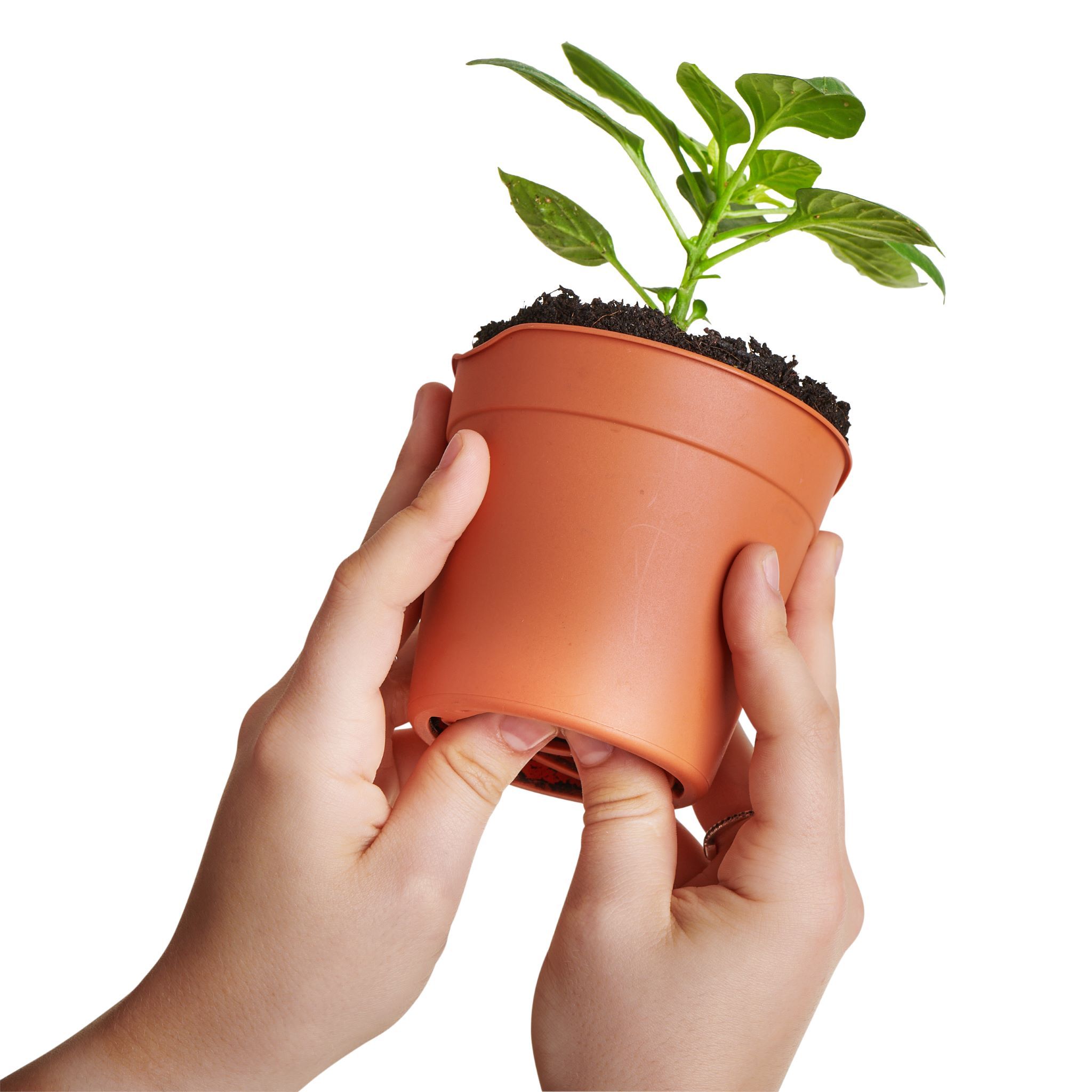 Clever Pots Easy Release Pots